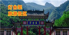 草逼逼极品美女